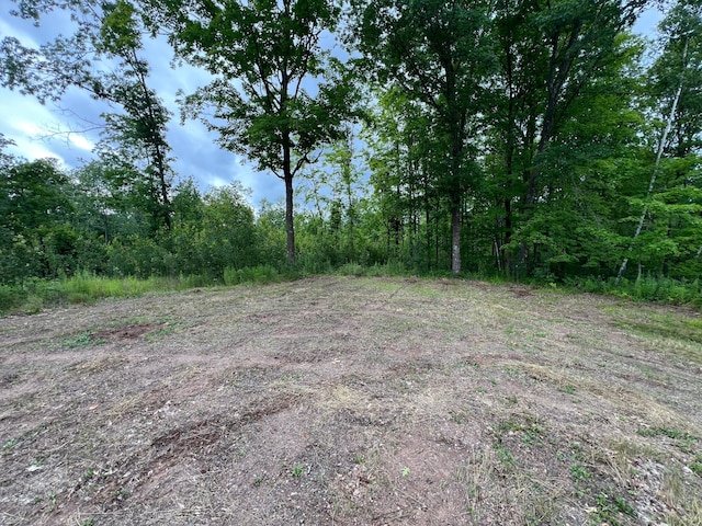 000 Mayfield Rd, Wilma Twp, MN 55072 - photo 47