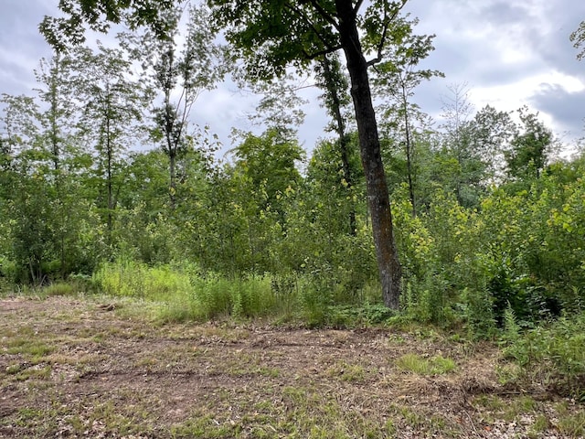 000 Mayfield Rd, Wilma Twp, MN 55072 - photo 50