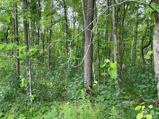 000 Mayfield Rd, Wilma Twp, MN 55072 - photo 53