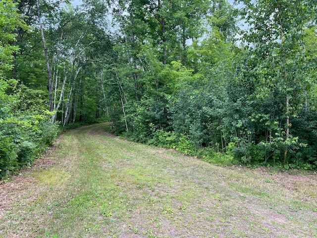 000 Mayfield Rd, Wilma Twp, MN 55072 - photo 1
