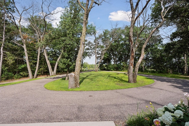 25579 Kettle River Blvd, Wyoming, MN 55092 - photo 37