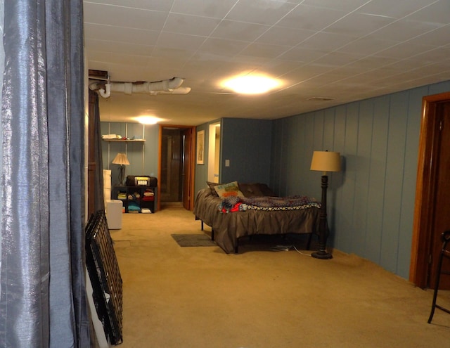 1016 13th Ave NW, Rochester, MN 55901 - photo 32