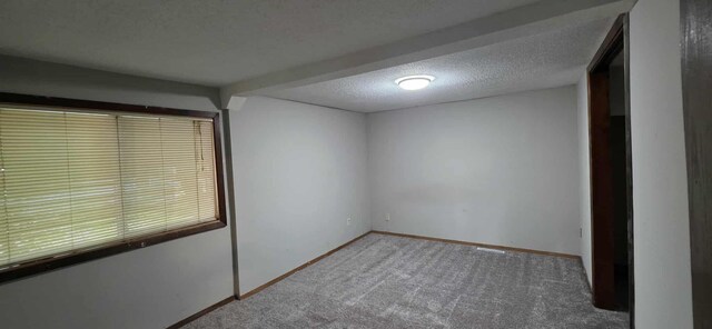 1009 Saint Jacob Ave, Albert Lea, MN 56007 - photo 19