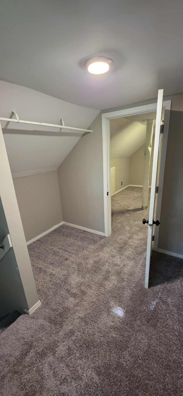 1009 Saint Jacob Ave, Albert Lea, MN 56007 - photo 27