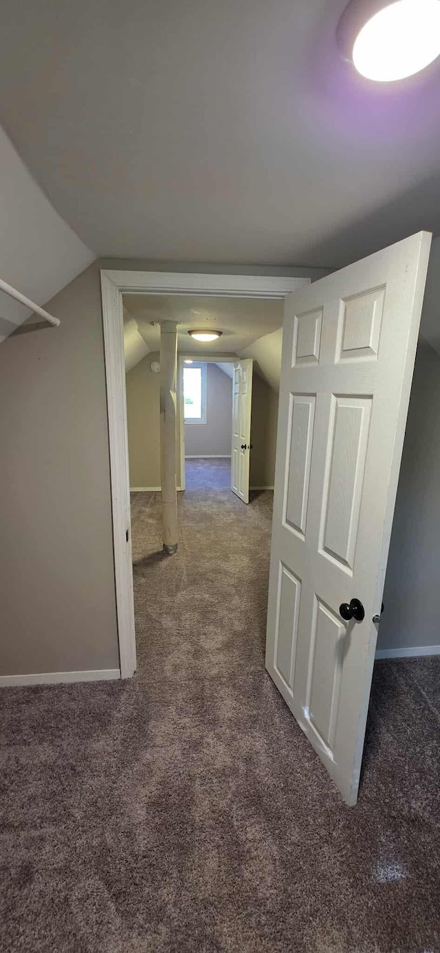 1009 Saint Jacob Ave, Albert Lea, MN 56007 - photo 28