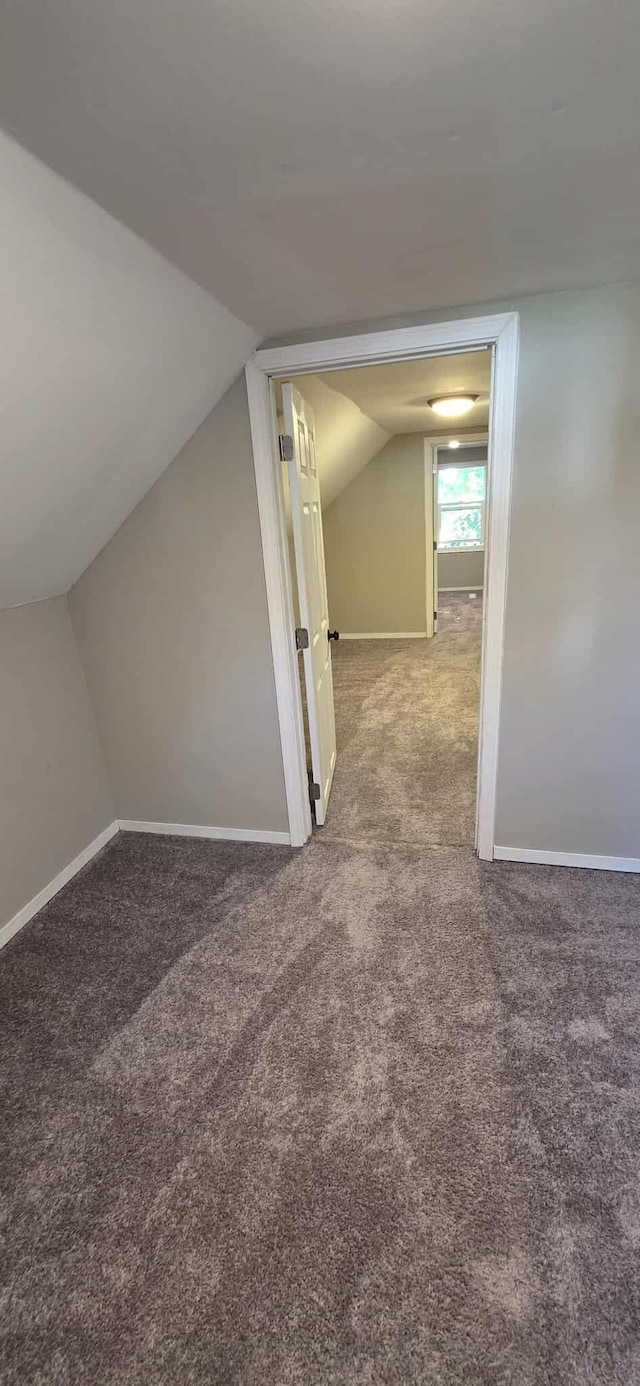 1009 Saint Jacob Ave, Albert Lea, MN 56007 - photo 29