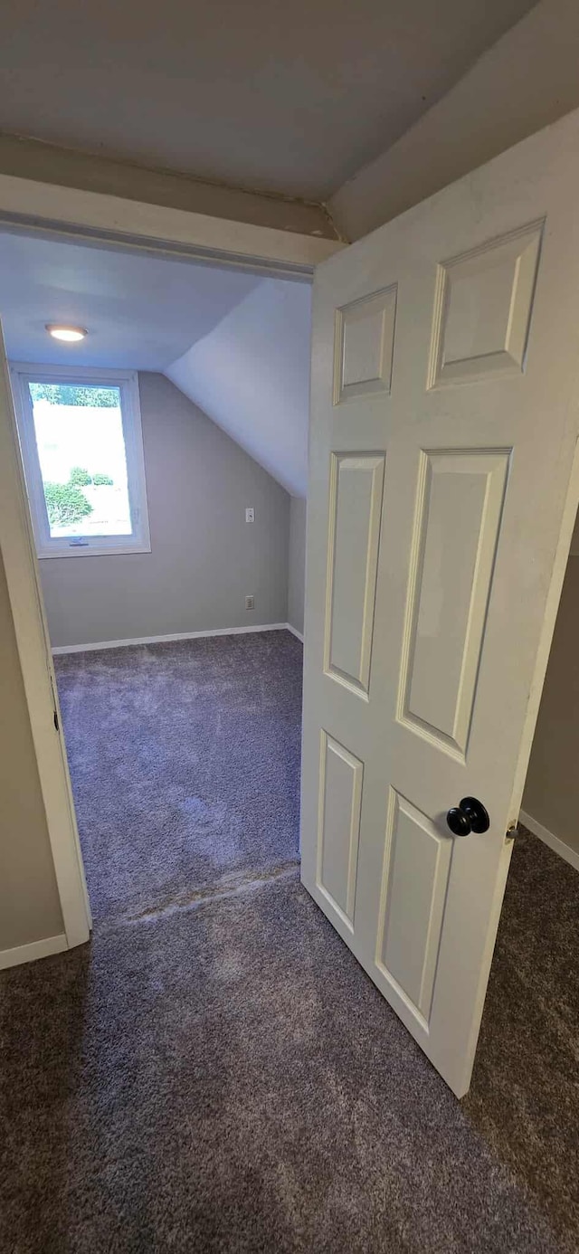 1009 Saint Jacob Ave, Albert Lea, MN 56007 - photo 30