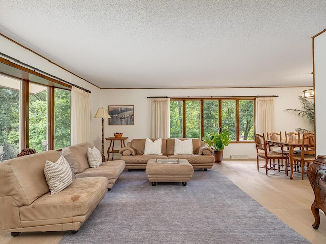 3 Squirrel Ln, North Oaks, MN 55127 - photo 13