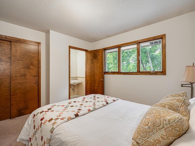 3 Squirrel Ln, North Oaks, MN 55127 - photo 21