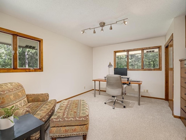 3 Squirrel Ln, North Oaks, MN 55127 - photo 24