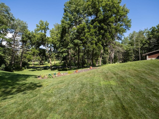 3 Squirrel Ln, North Oaks, MN 55127 - photo 40
