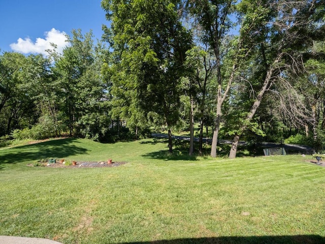 3 Squirrel Ln, North Oaks, MN 55127 - photo 41