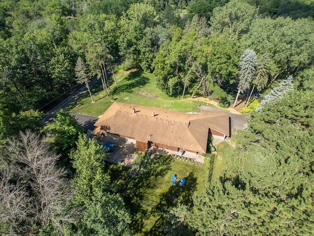 3 Squirrel Ln, North Oaks, MN 55127 - photo 52