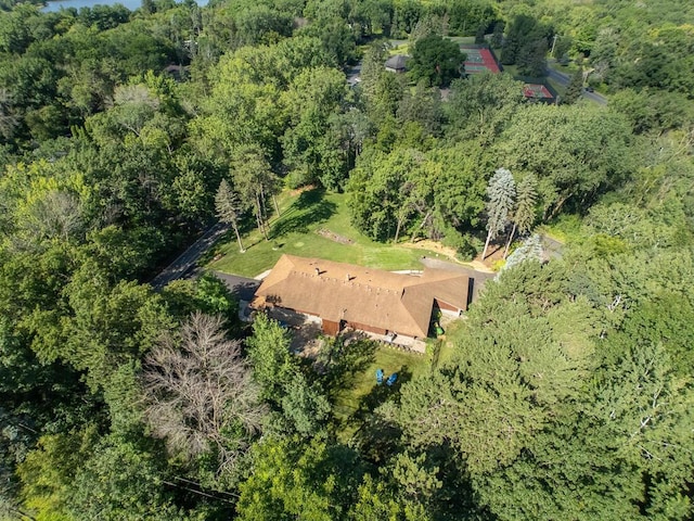 3 Squirrel Ln, North Oaks, MN 55127 - photo 53
