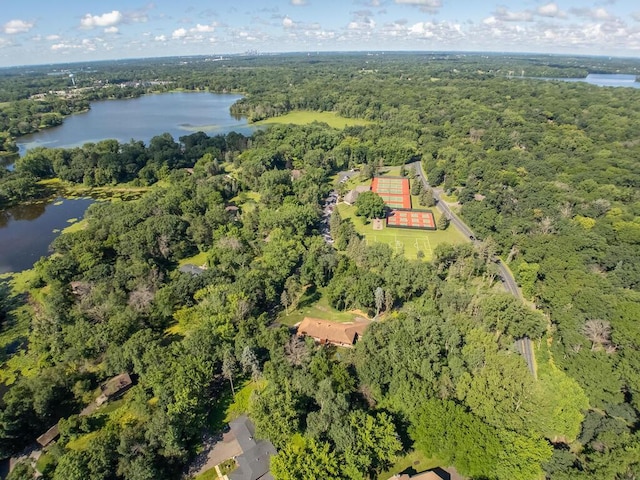 3 Squirrel Ln, North Oaks, MN 55127 - photo 55