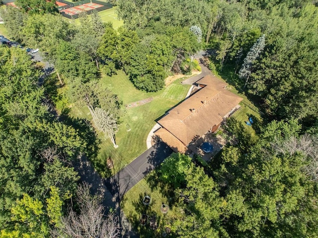3 Squirrel Ln, North Oaks, MN 55127 - photo 59