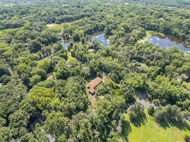 3 Squirrel Ln, North Oaks, MN 55127 - photo 62