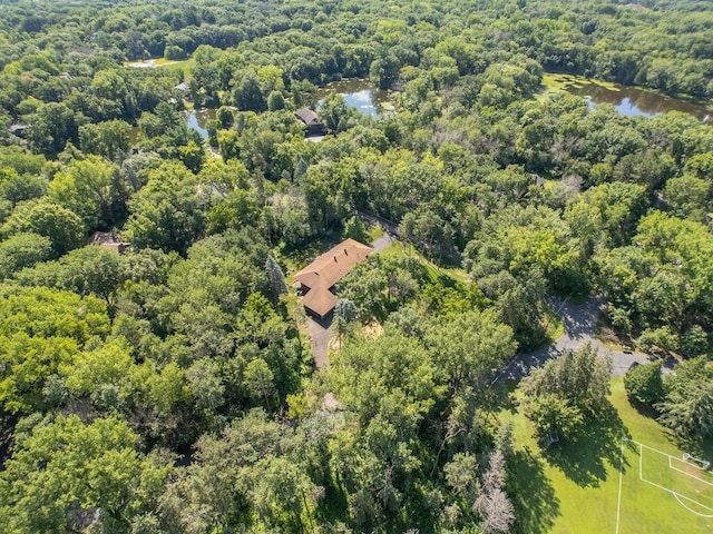 3 Squirrel Ln, North Oaks, MN 55127 - photo 63
