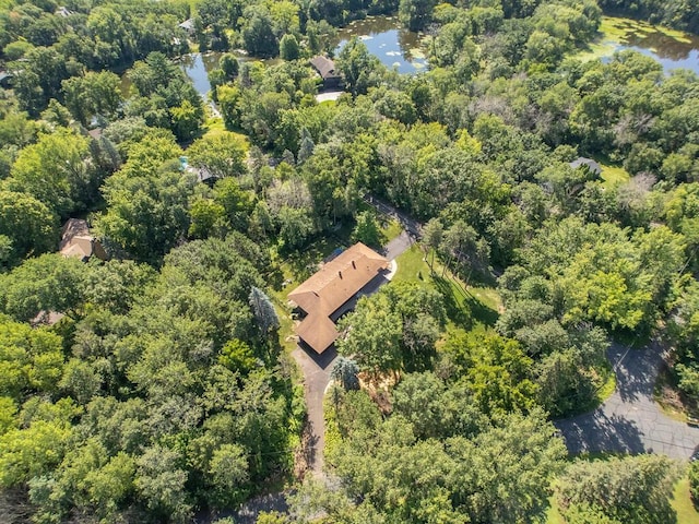 3 Squirrel Ln, North Oaks, MN 55127 - photo 64
