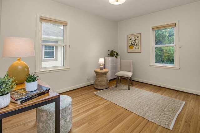 1619 Juno Ave, Saint Paul, MN 55116 - photo 21