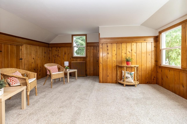 1619 Juno Ave, Saint Paul, MN 55116 - photo 26
