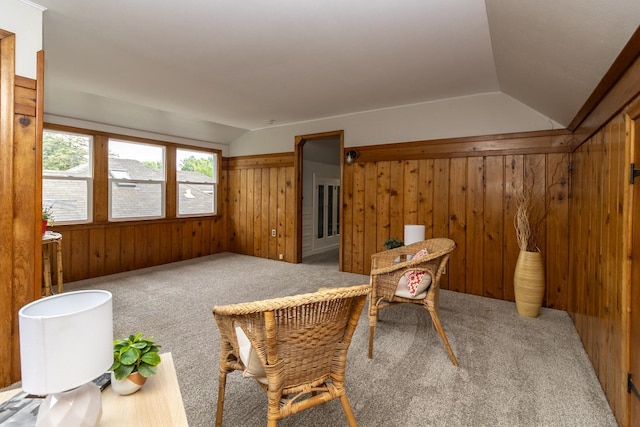 1619 Juno Ave, Saint Paul, MN 55116 - photo 27