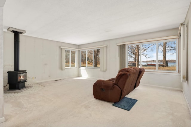 3046 Julia Way, Mound, MN 55364 - photo 10