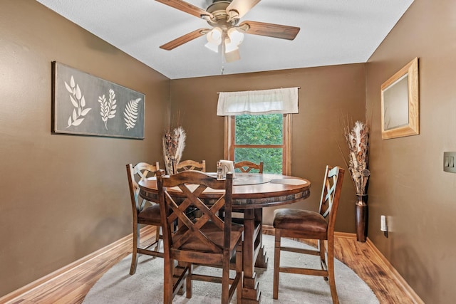 20061 Zion St NW, Oak Grove, MN 55011 - photo 15
