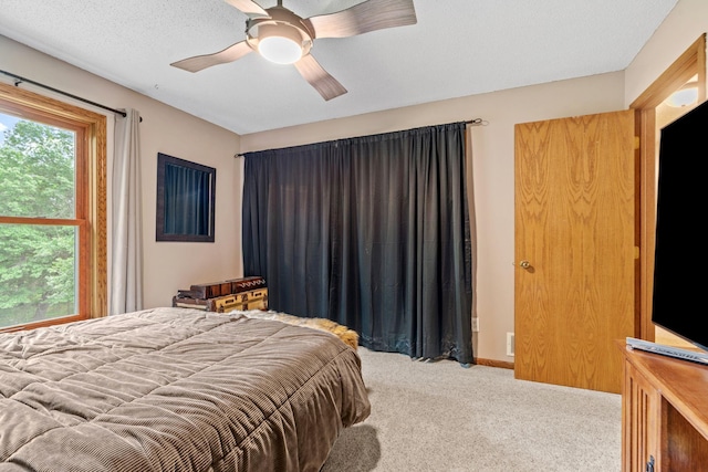 20061 Zion St NW, Oak Grove, MN 55011 - photo 32