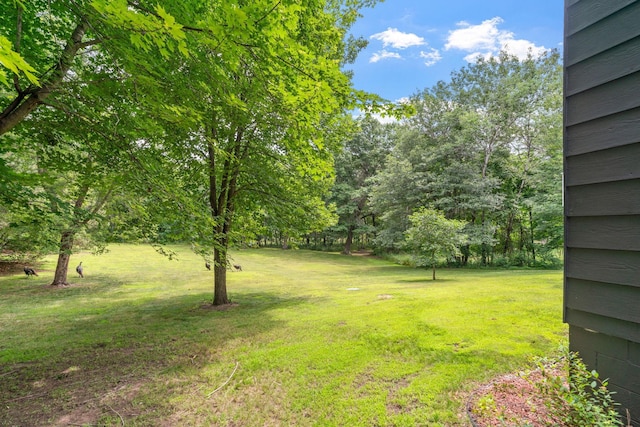 20061 Zion St NW, Oak Grove, MN 55011 - photo 55