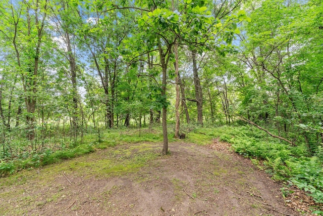 20061 Zion St NW, Oak Grove, MN 55011 - photo 57