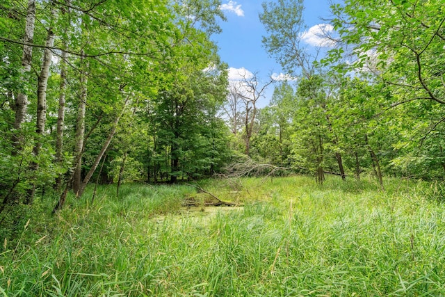 20061 Zion St NW, Oak Grove, MN 55011 - photo 60