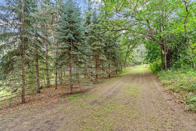 20061 Zion St NW, Oak Grove, MN 55011 - photo 63