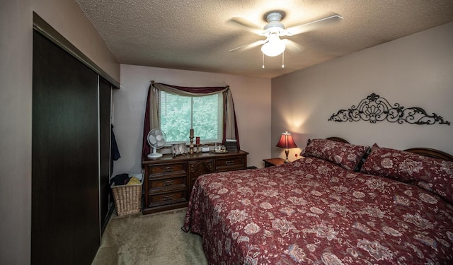 8233 Georgia Ct N, Brooklyn Park, MN 55445 - photo 12