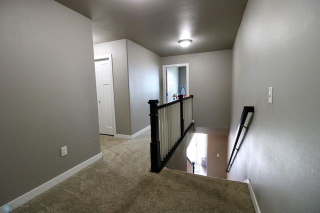 1317 29th Ave W, Fargo, ND 58078 - photo 26