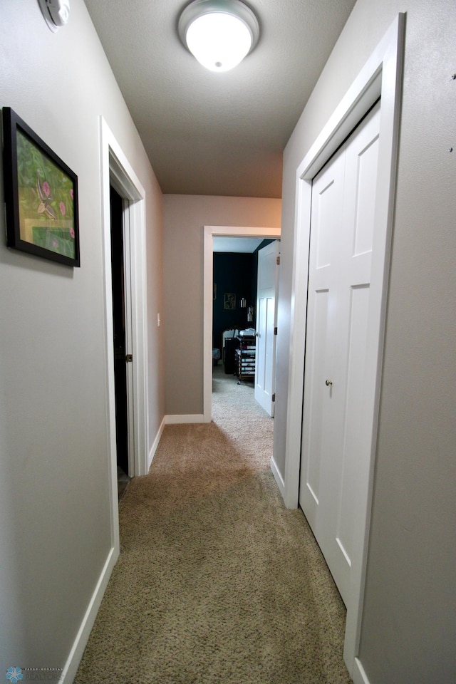 1317 29th Ave W, Fargo, ND 58078 - photo 29