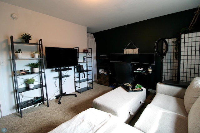 1317 29th Ave W, Fargo, ND 58078 - photo 33