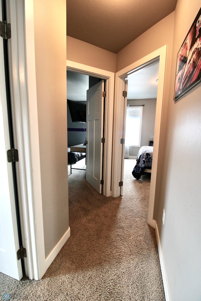 1317 29th Ave W, Fargo, ND 58078 - photo 34