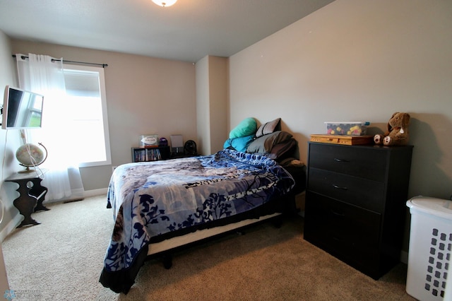 1317 29th Ave W, Fargo, ND 58078 - photo 38