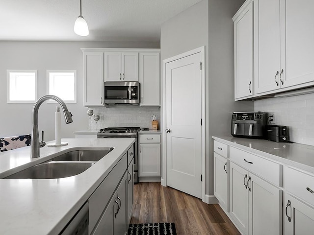 392 Emmy Ln, Hanover, MN 55341 - photo 9