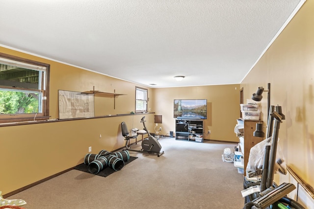 8108 Hemingway Ave S, Cottage Grove, MN 55016 - photo 22