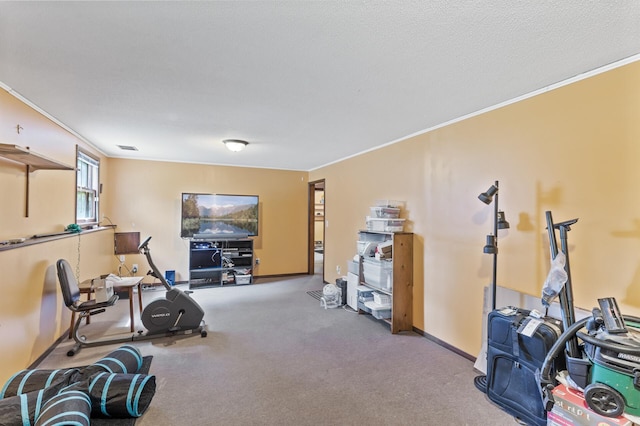 8108 Hemingway Ave S, Cottage Grove, MN 55016 - photo 23