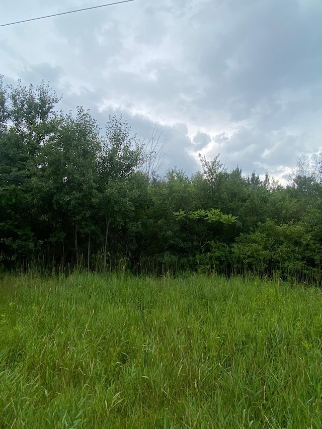 19XX 240th Ave, Eureka, WI 54024 - photo 1