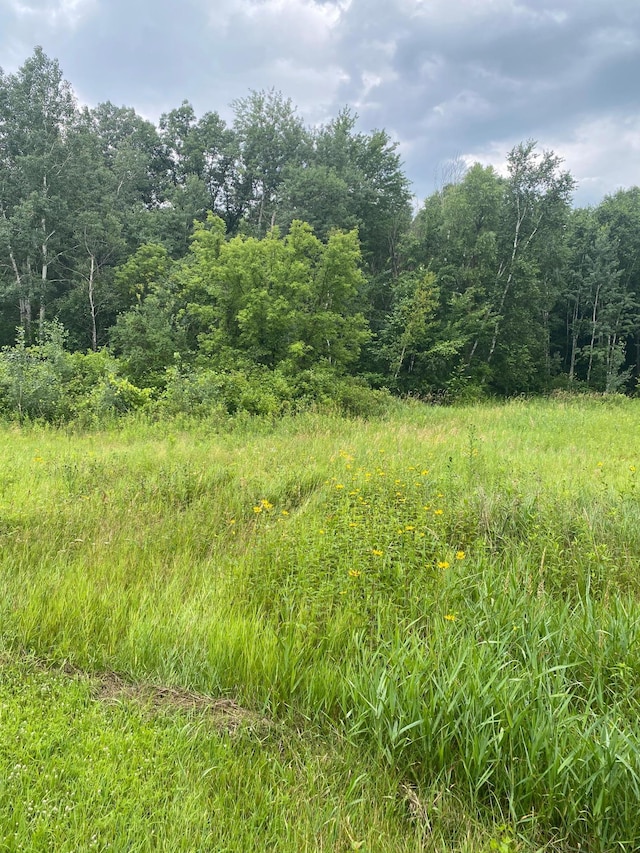 19XX 240th Ave, Eureka, WI 54024 - photo 3