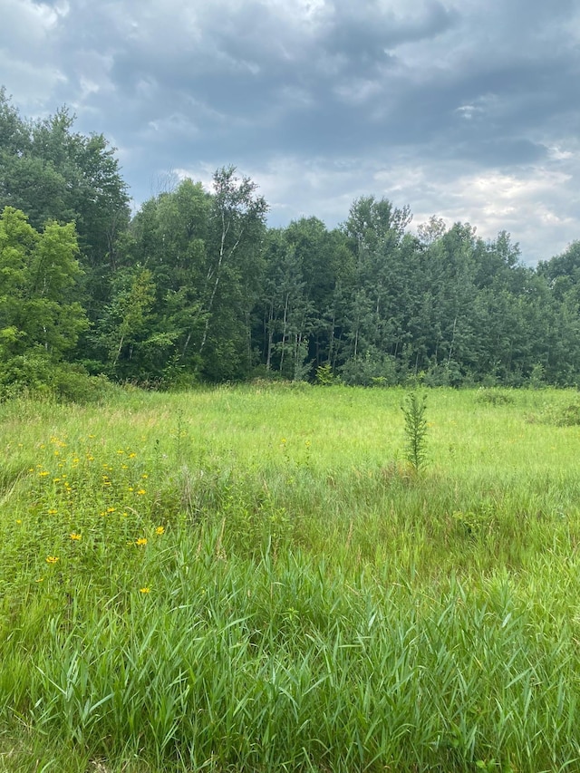 19XX 240th Ave, Eureka, WI 54024 - photo 4