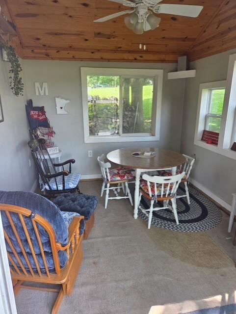 30 Elm St N, Kimball, MN 55353 - photo 5