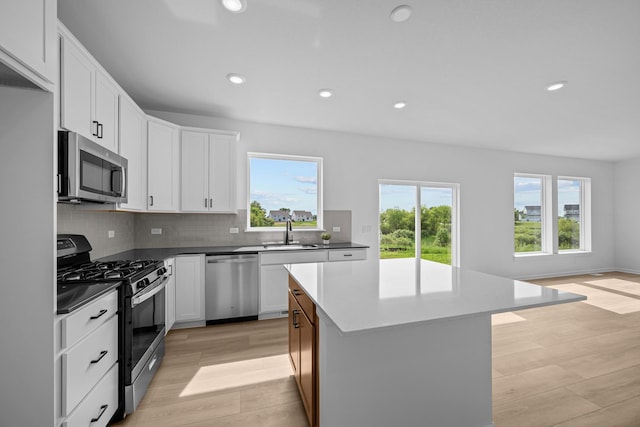 7130 Large Ave NE, Otsego, MN 55301 - photo 4