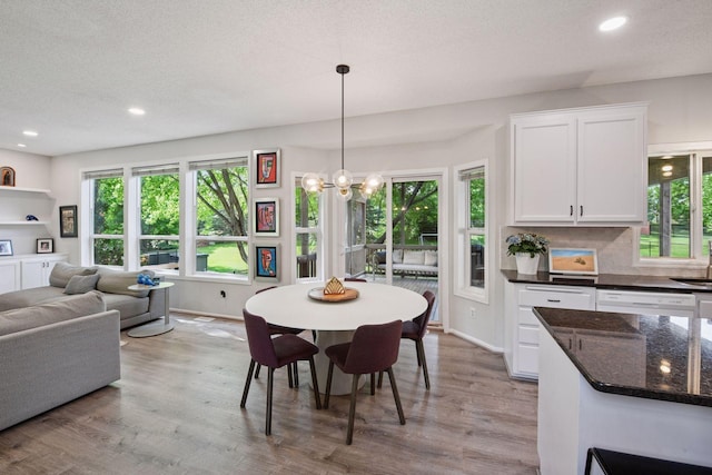 2394 Manuela Dr, Chaska, MN 55318 - photo 6
