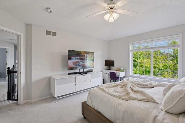 2394 Manuela Dr, Chaska, MN 55318 - photo 23