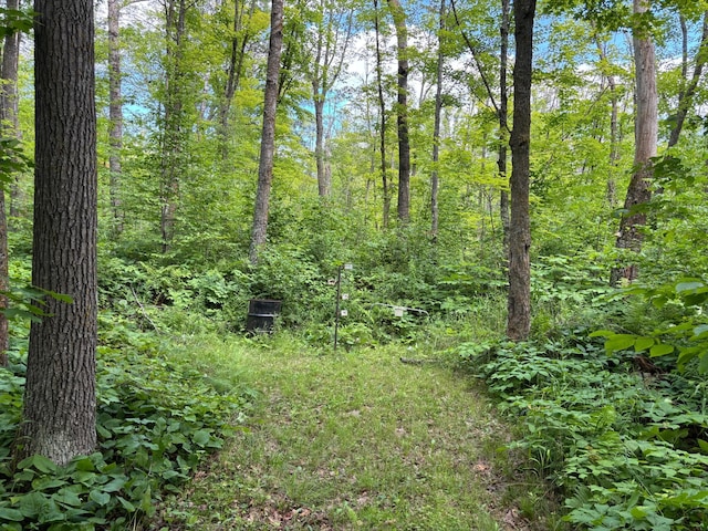 14440 State Highway 27, Sturgeon Lake, MN 55783 - photo 32